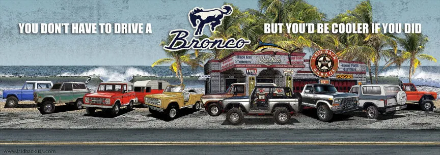 Bronco Reunion 55x19.5 Banner