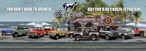 Bronco Reunion 55x19.5 Banner