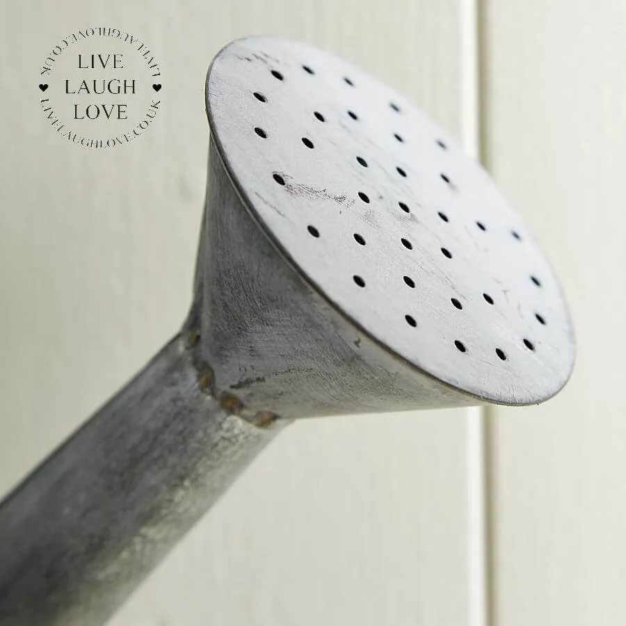 Hanging Watering Can Planter