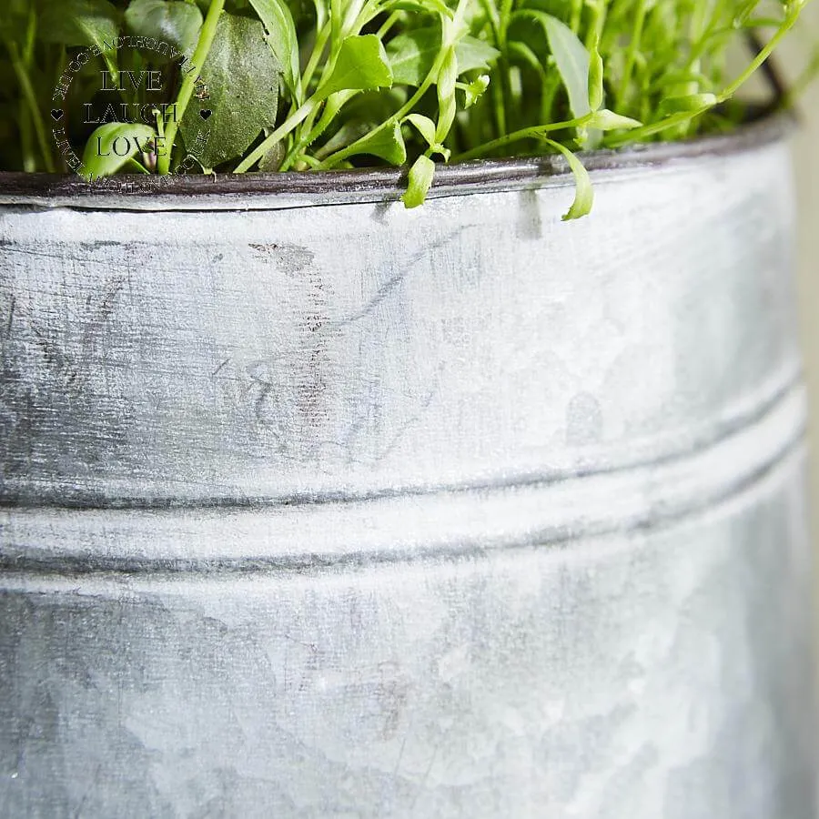 Hanging Watering Can Planter
