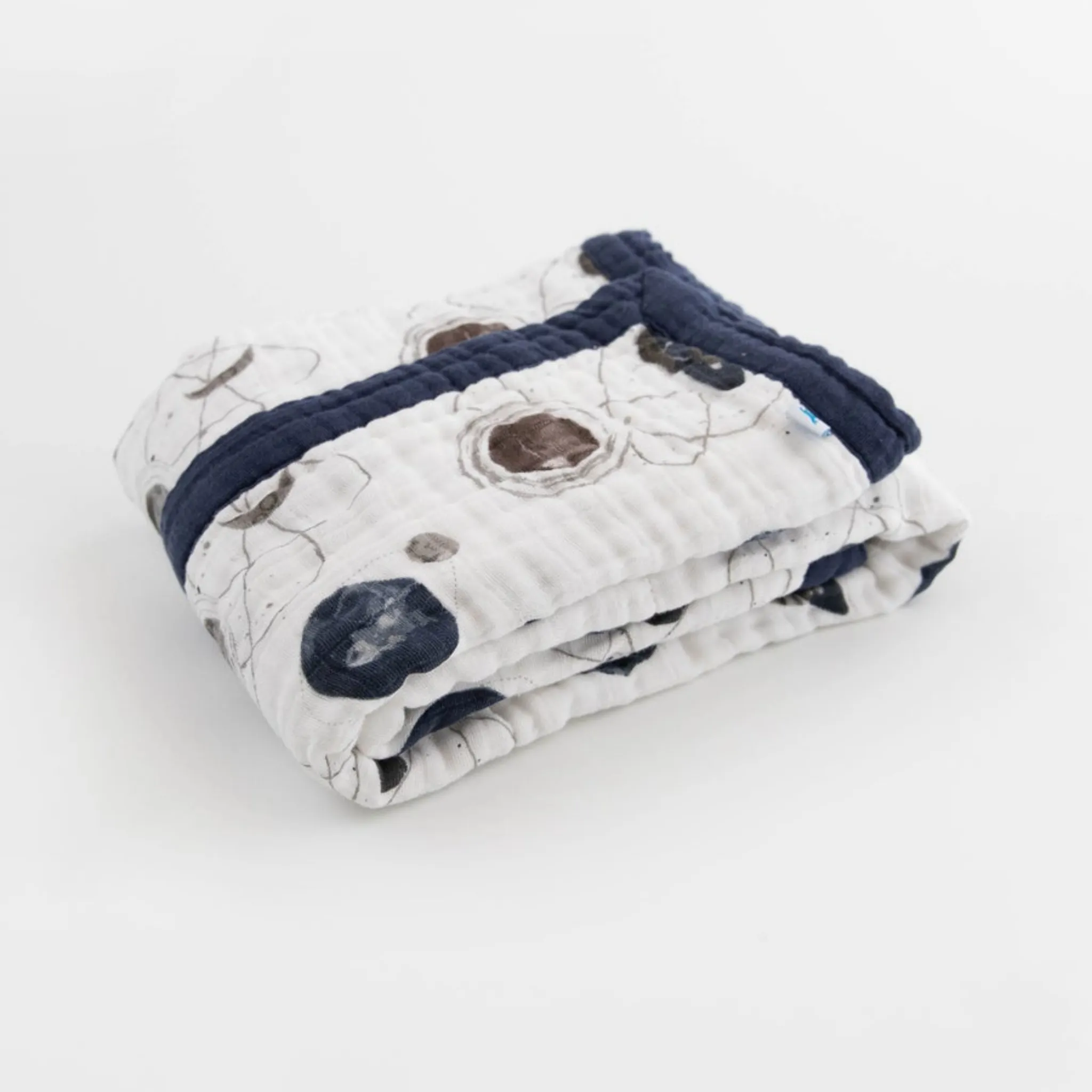Muslin Planetarium Quilt