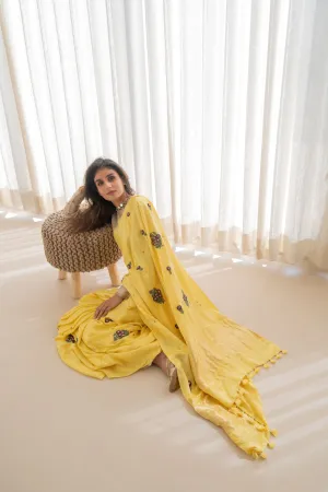 Nargis Gajji Silk Saree