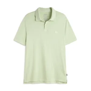 Theo Polo